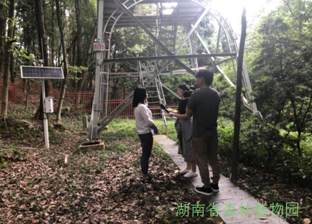 AG旗舰厅(中国游)官方网站
