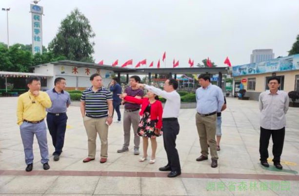 AG旗舰厅(中国游)官方网站