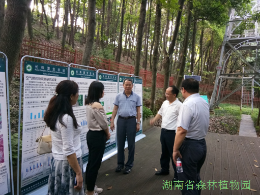 AG旗舰厅(中国游)官方网站