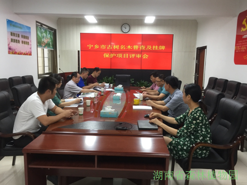 AG旗舰厅(中国游)官方网站