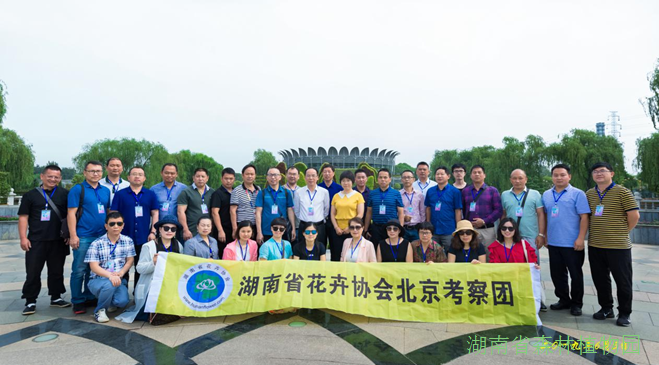 AG旗舰厅(中国游)官方网站