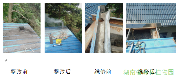 AG旗舰厅(中国游)官方网站