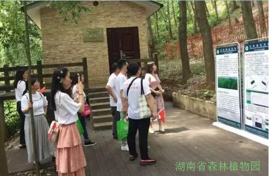 AG旗舰厅(中国游)官方网站