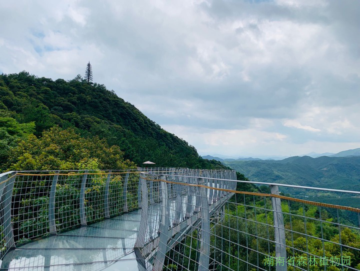 AG旗舰厅(中国游)官方网站