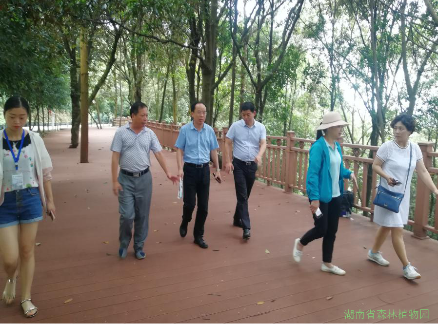 AG旗舰厅(中国游)官方网站