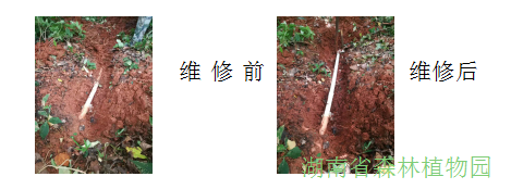 AG旗舰厅(中国游)官方网站