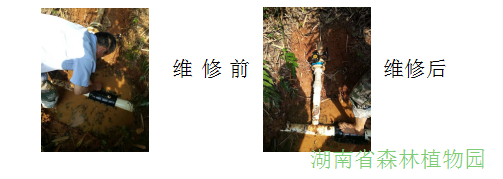 AG旗舰厅(中国游)官方网站