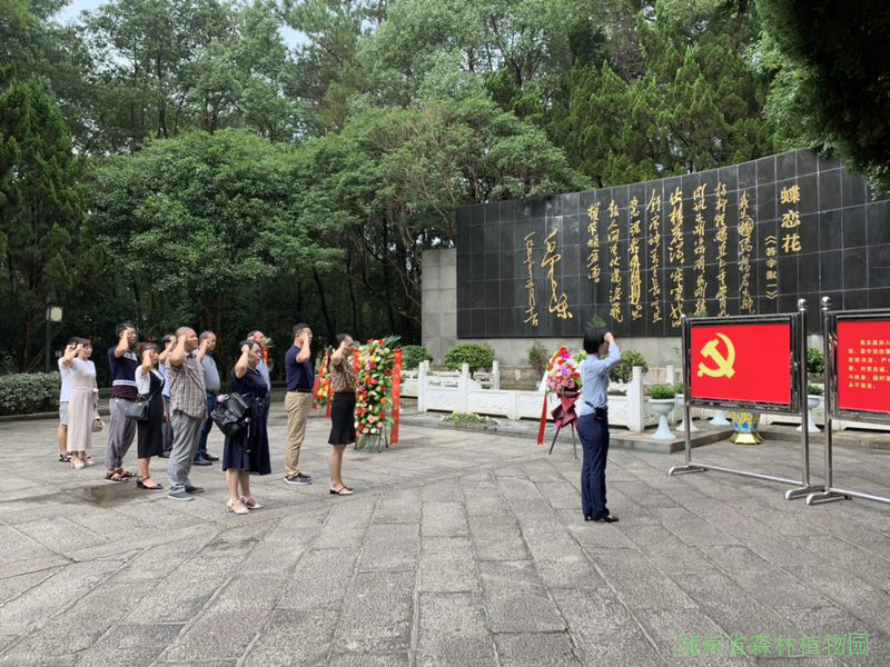 AG旗舰厅(中国游)官方网站