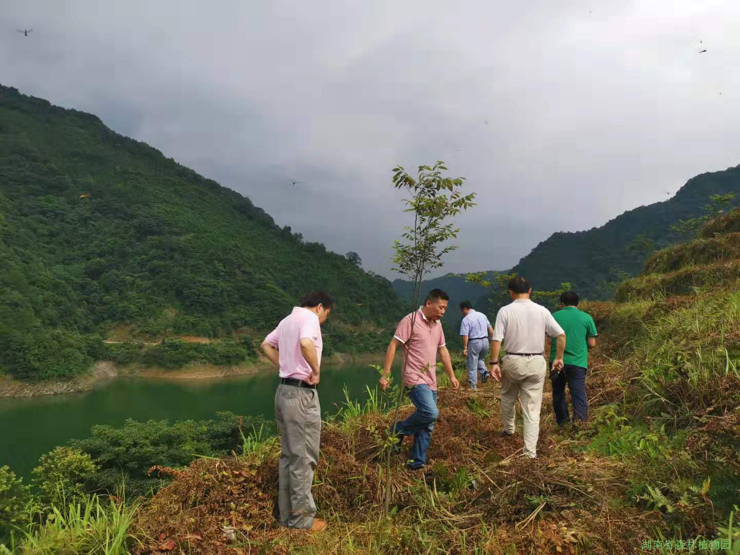 AG旗舰厅(中国游)官方网站