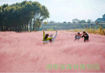 AG旗舰厅(中国游)官方网站