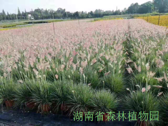 AG旗舰厅(中国游)官方网站