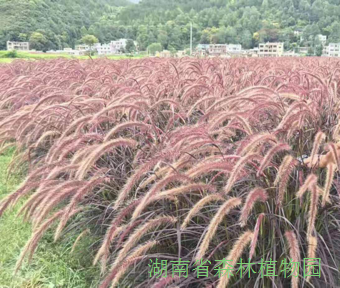 AG旗舰厅(中国游)官方网站