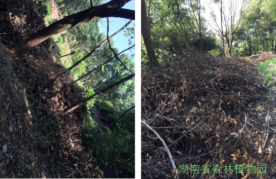 AG旗舰厅(中国游)官方网站