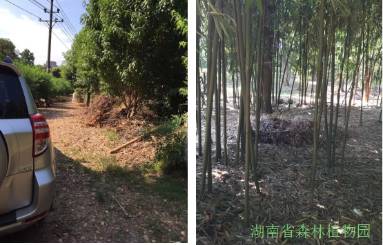 AG旗舰厅(中国游)官方网站