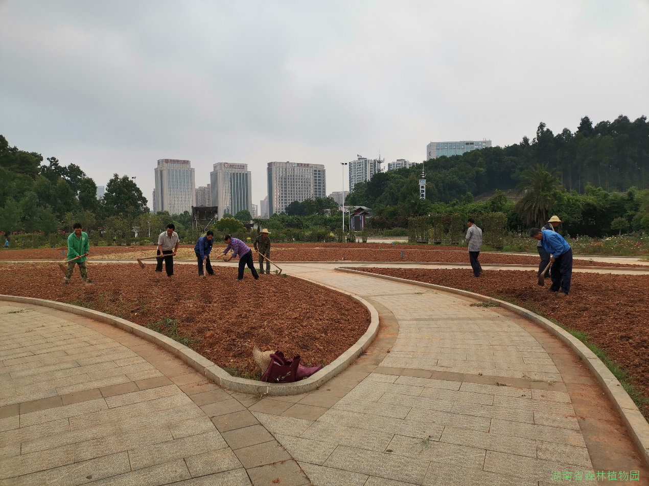 AG旗舰厅(中国游)官方网站