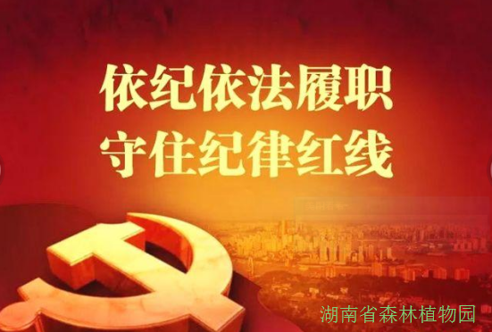 AG旗舰厅(中国游)官方网站
