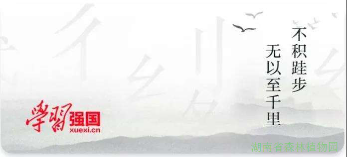 AG旗舰厅(中国游)官方网站