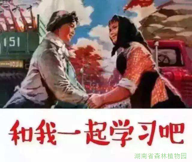 AG旗舰厅(中国游)官方网站