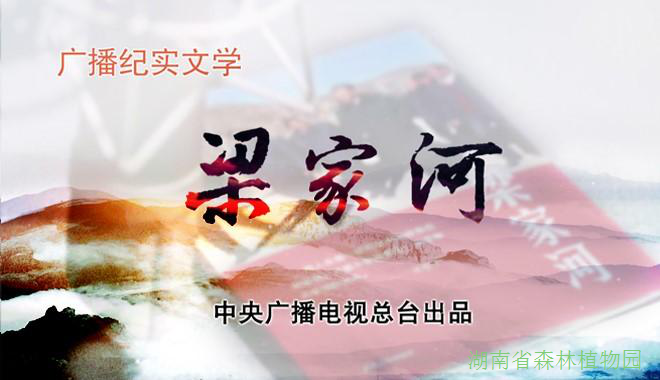 AG旗舰厅(中国游)官方网站