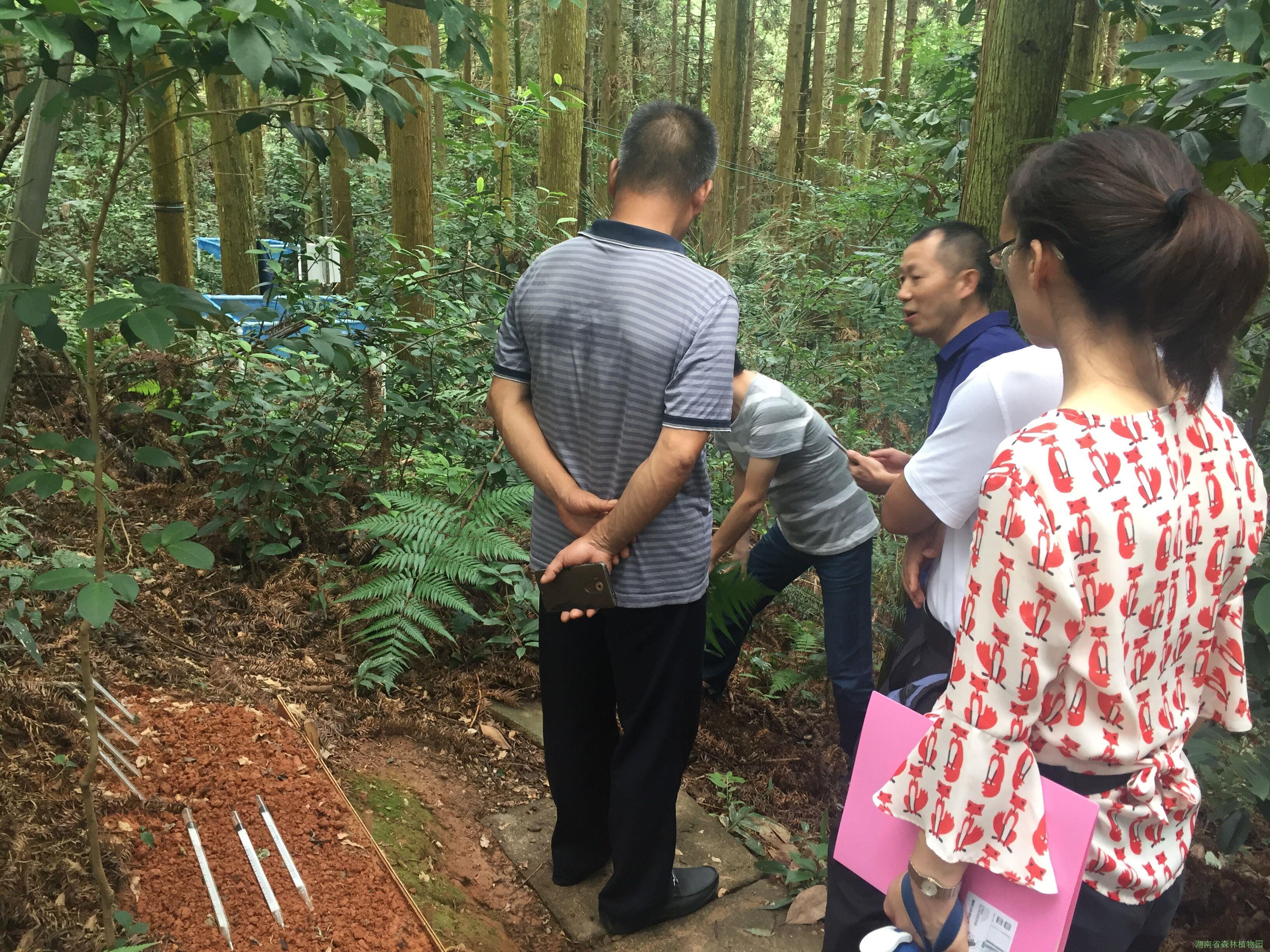 AG旗舰厅(中国游)官方网站