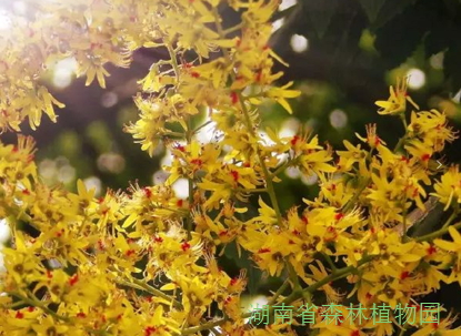 AG旗舰厅(中国游)官方网站