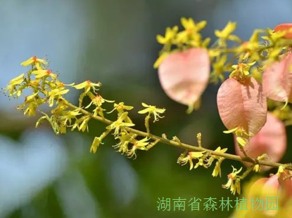AG旗舰厅(中国游)官方网站