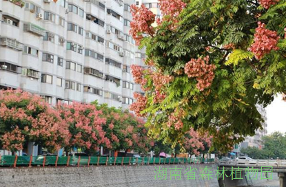 AG旗舰厅(中国游)官方网站