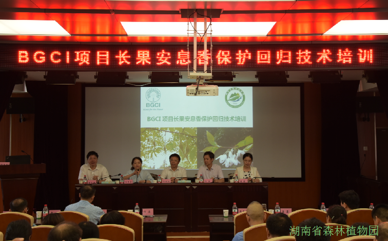 AG旗舰厅(中国游)官方网站
