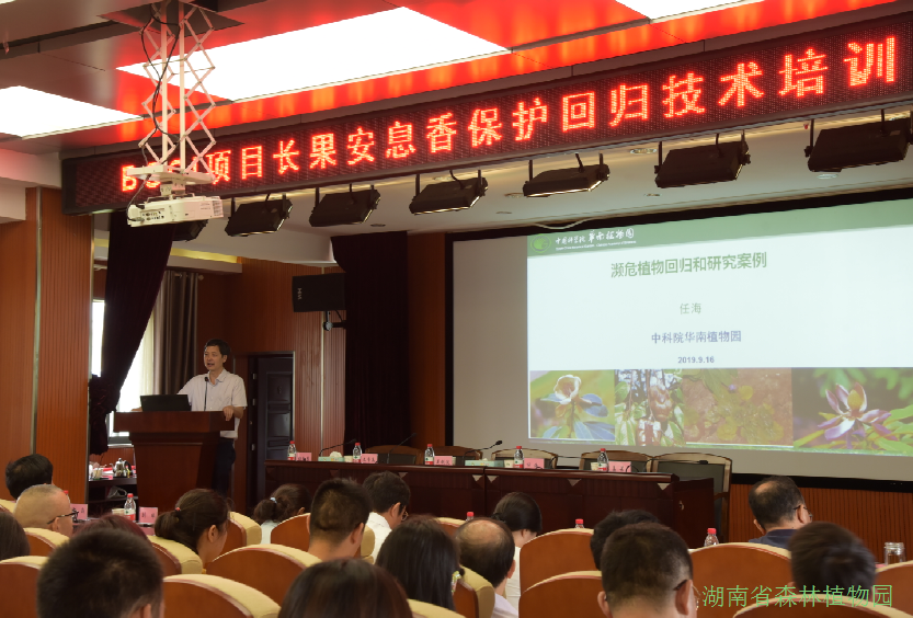 AG旗舰厅(中国游)官方网站