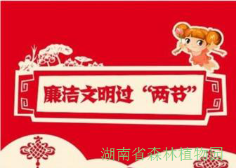 AG旗舰厅(中国游)官方网站