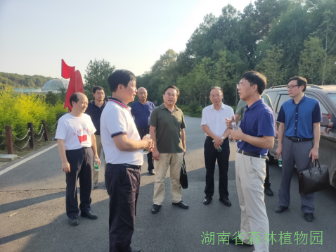 AG旗舰厅(中国游)官方网站