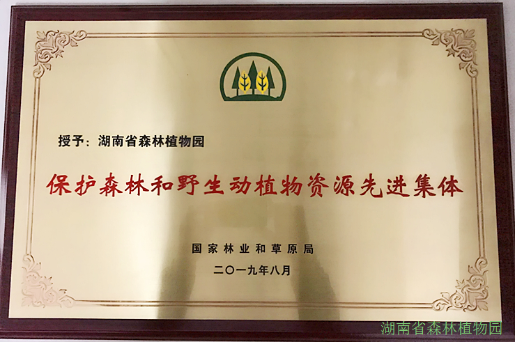 AG旗舰厅(中国游)官方网站