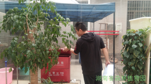 AG旗舰厅(中国游)官方网站
