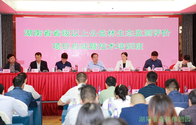 AG旗舰厅(中国游)官方网站