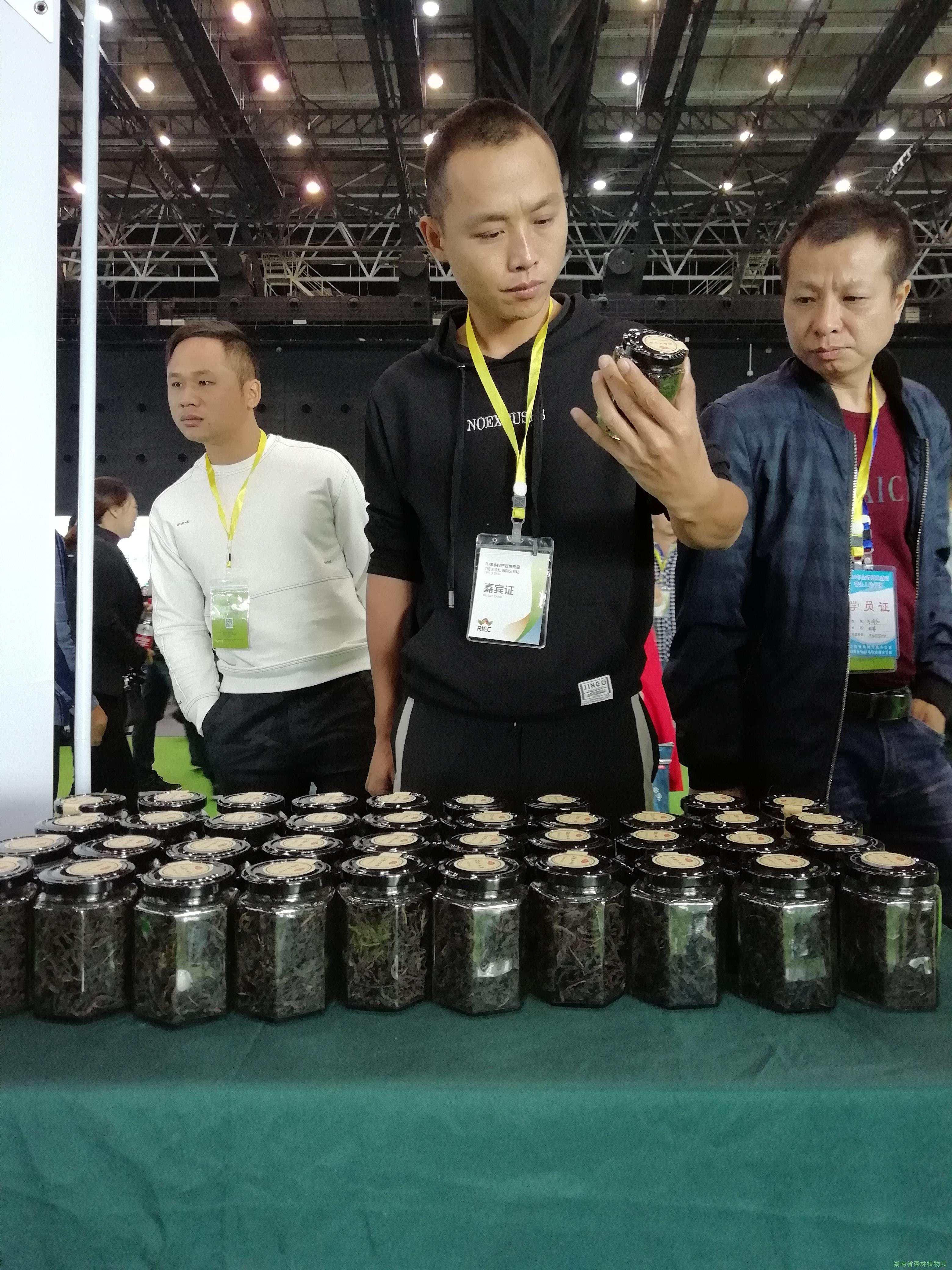 AG旗舰厅(中国游)官方网站