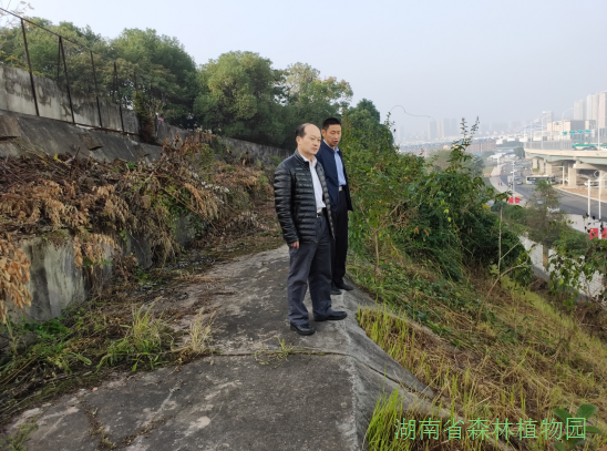 AG旗舰厅(中国游)官方网站