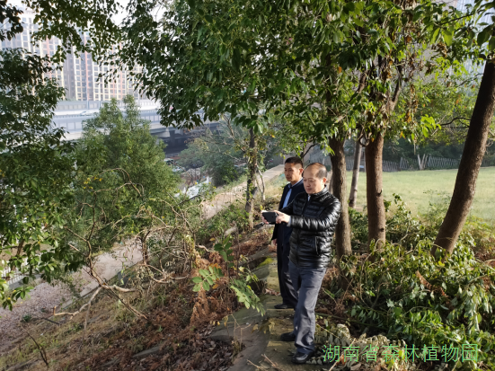 AG旗舰厅(中国游)官方网站