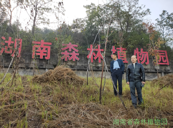 AG旗舰厅(中国游)官方网站