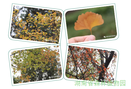 AG旗舰厅(中国游)官方网站