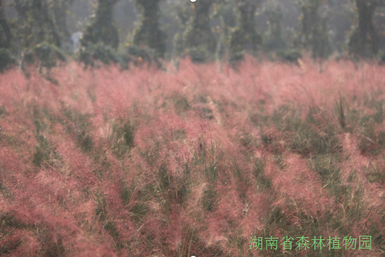 AG旗舰厅(中国游)官方网站