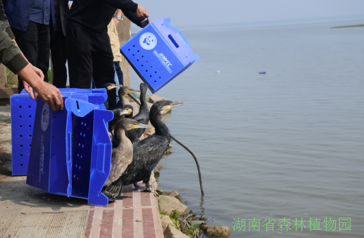 AG旗舰厅(中国游)官方网站