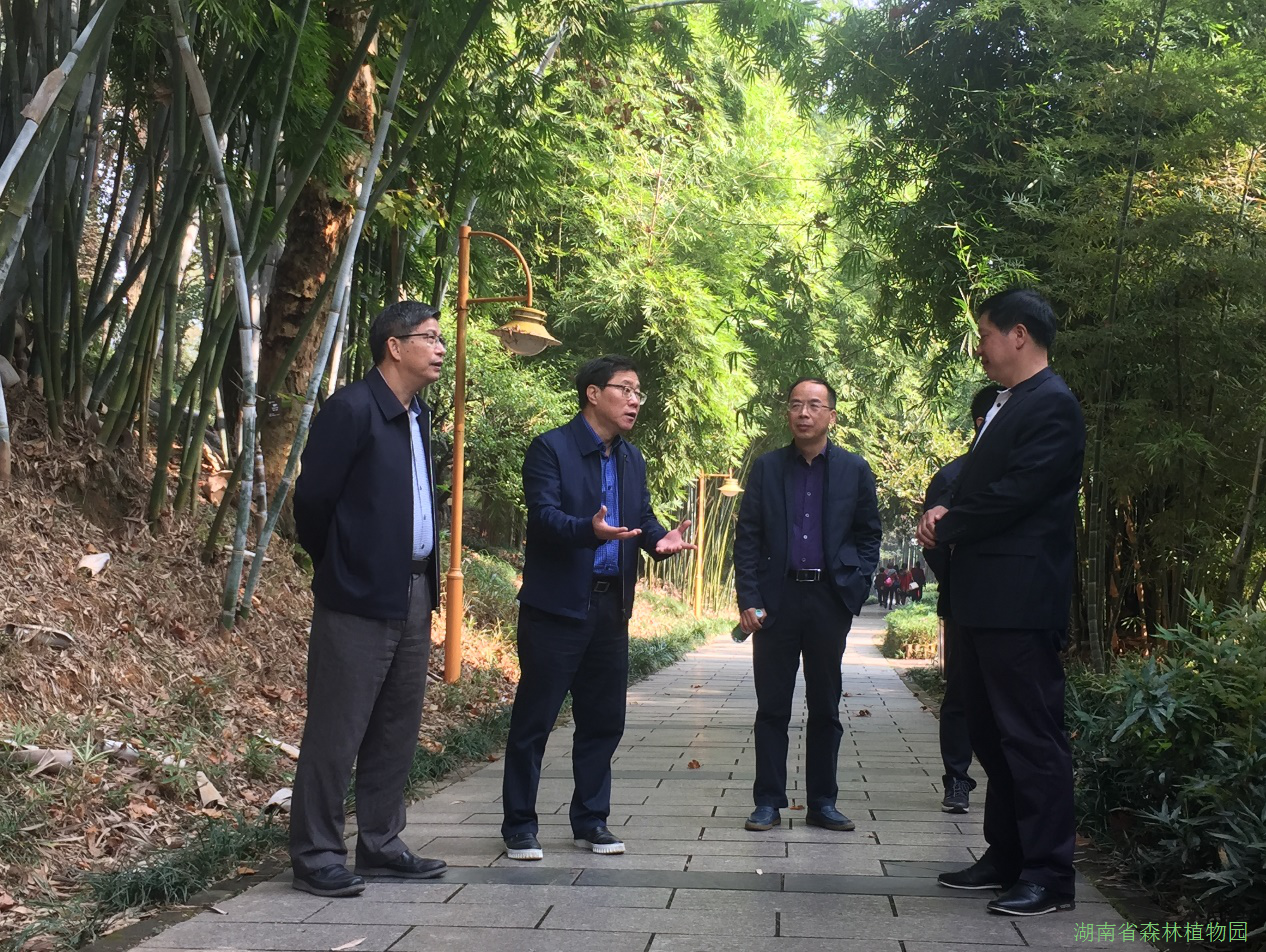 AG旗舰厅(中国游)官方网站