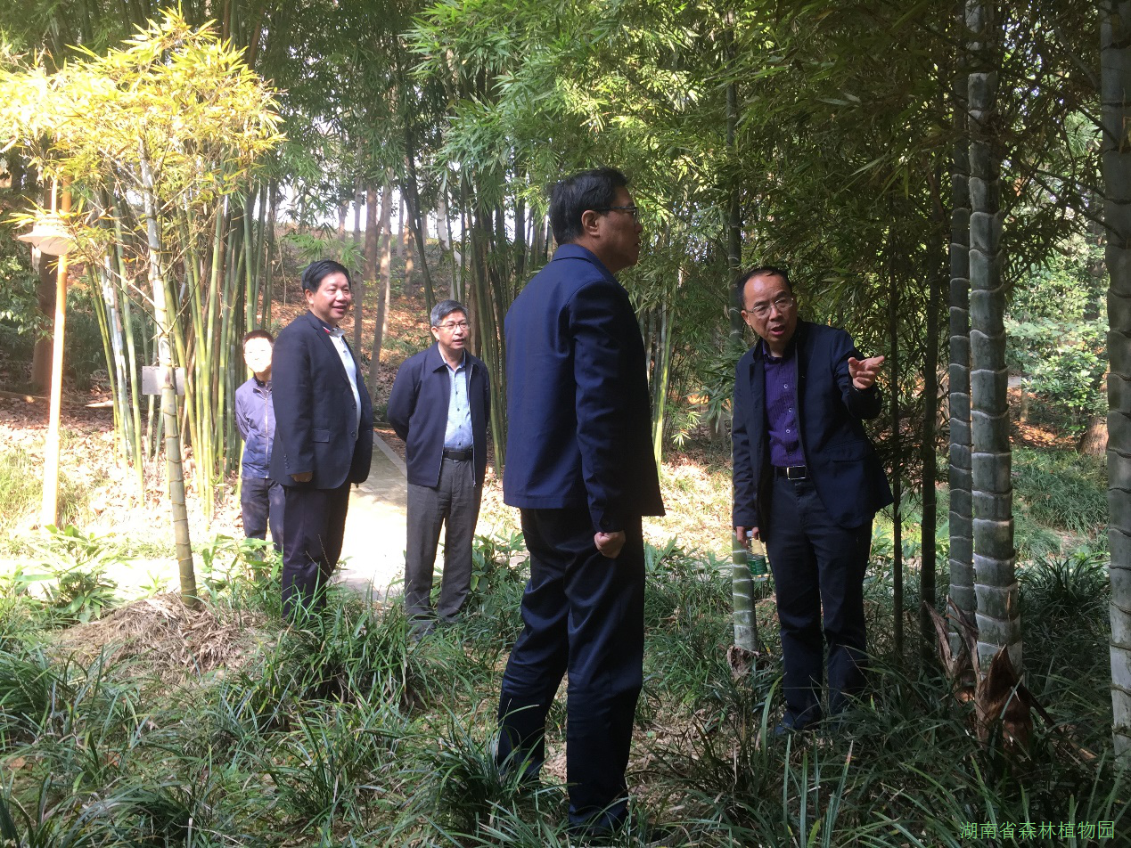 AG旗舰厅(中国游)官方网站