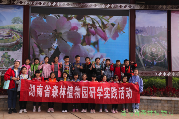 AG旗舰厅(中国游)官方网站