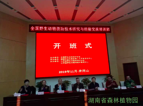 AG旗舰厅(中国游)官方网站