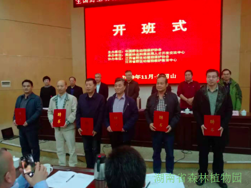AG旗舰厅(中国游)官方网站