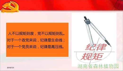 AG旗舰厅(中国游)官方网站