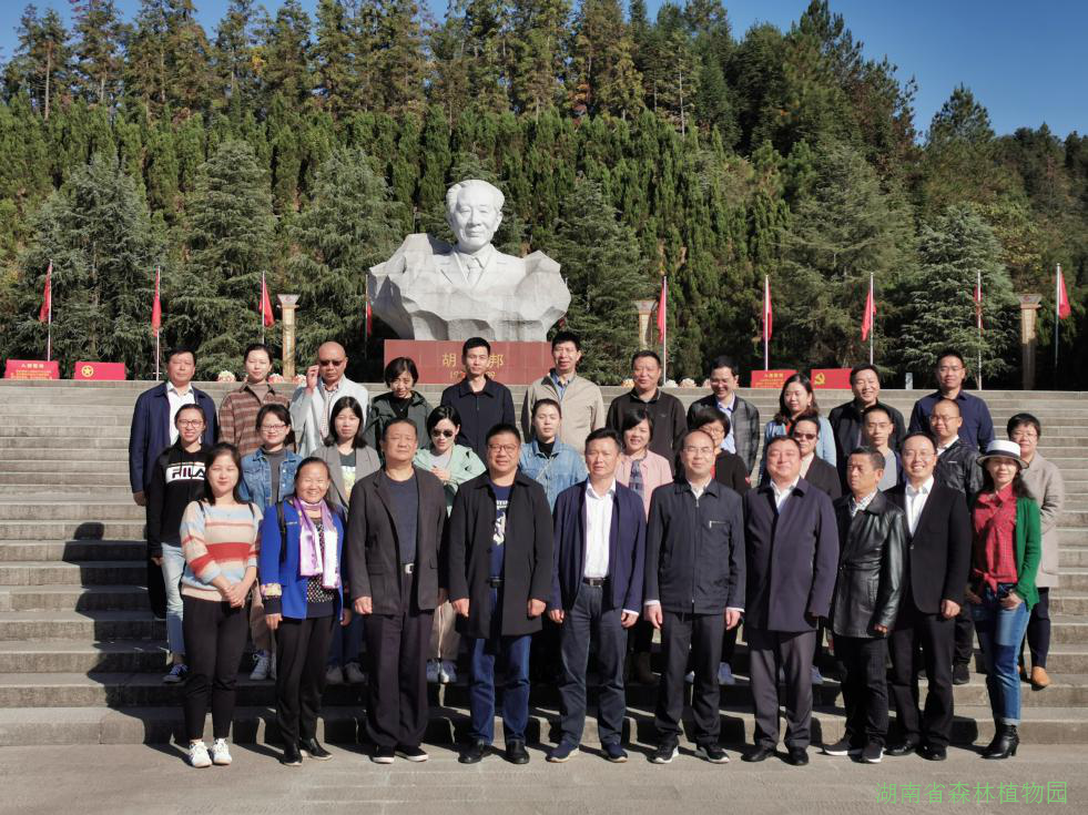 AG旗舰厅(中国游)官方网站
