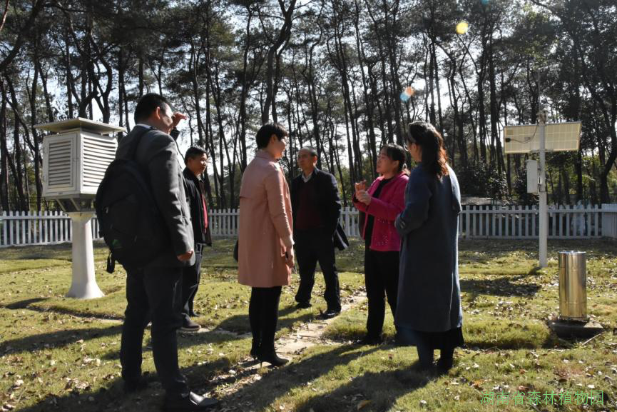 AG旗舰厅(中国游)官方网站