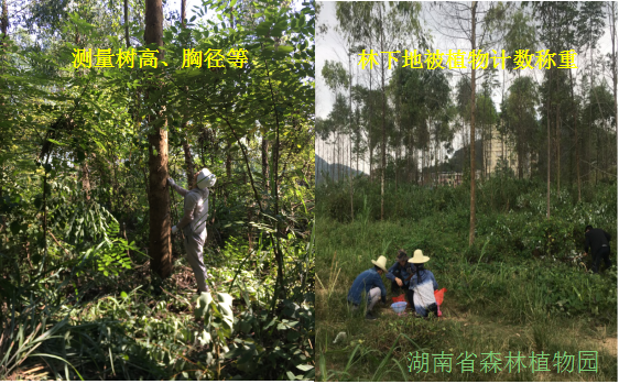 AG旗舰厅(中国游)官方网站